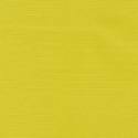 Sportlight 55 Yellow.jpg